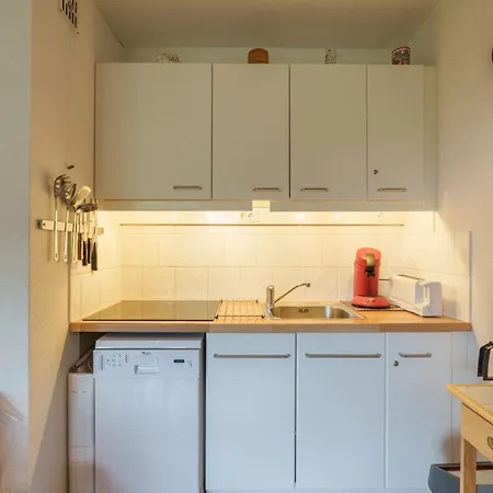 Apartman L'ourson Rider - Proche Pistes De *