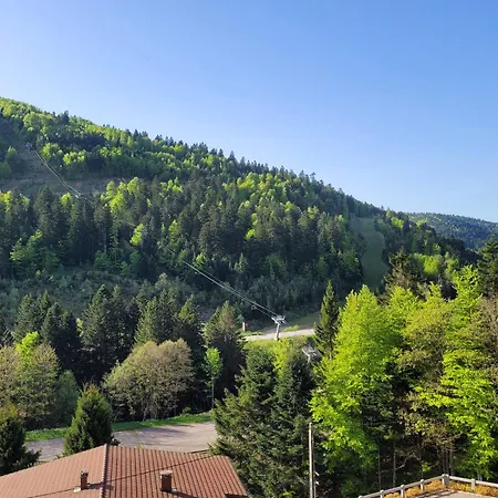 Apartment L'ourson Rider - Proche Pistes De *