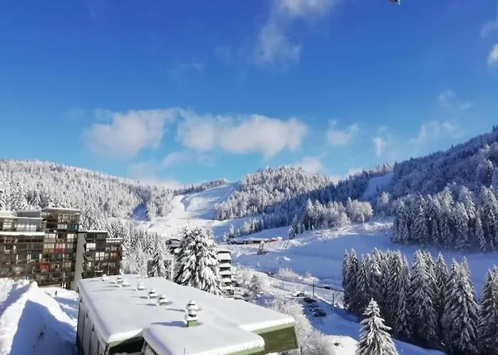 L'ourson Rider - Proche Pistes De Apartmán