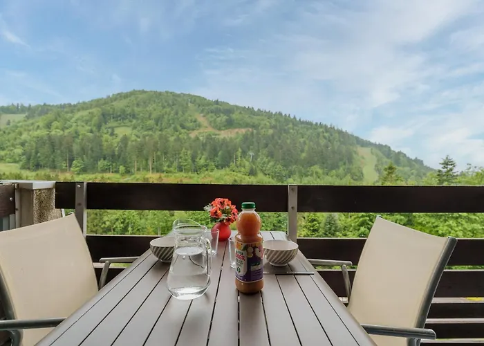 L'ourson Rider - Proche Pistes De