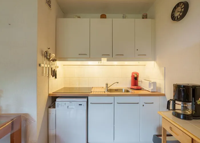 Apartmán L'ourson Rider - Proche Pistes De *