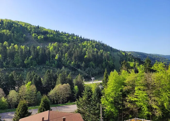 Apartmán L'ourson Rider - Proche Pistes De *